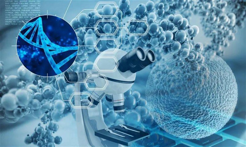 金澳泊生物
