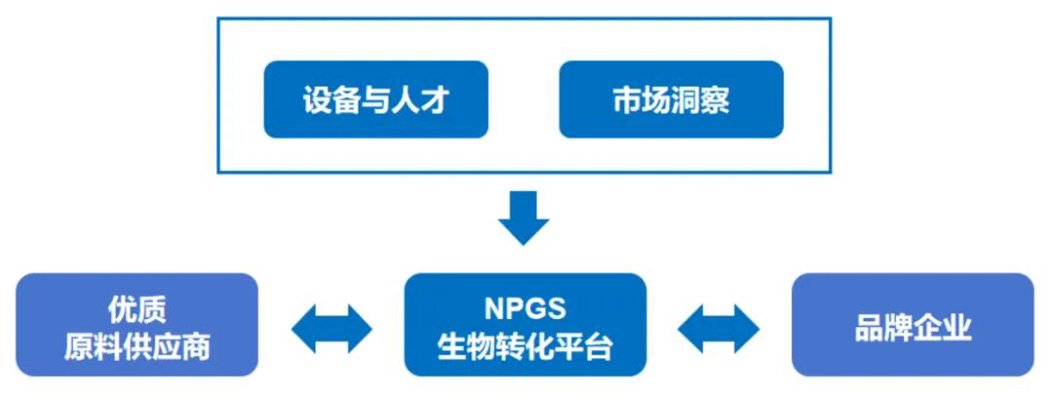 金澳泊生物